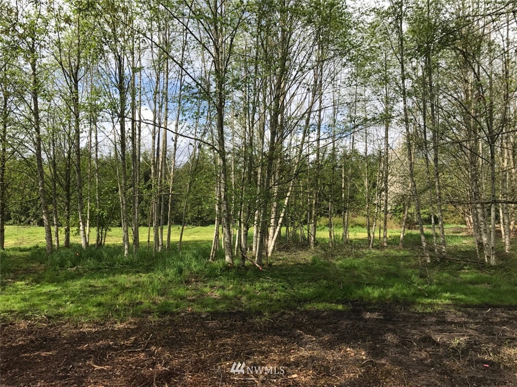0 Schornbush Road Deming, WA 98244 - Photo 1 of 1