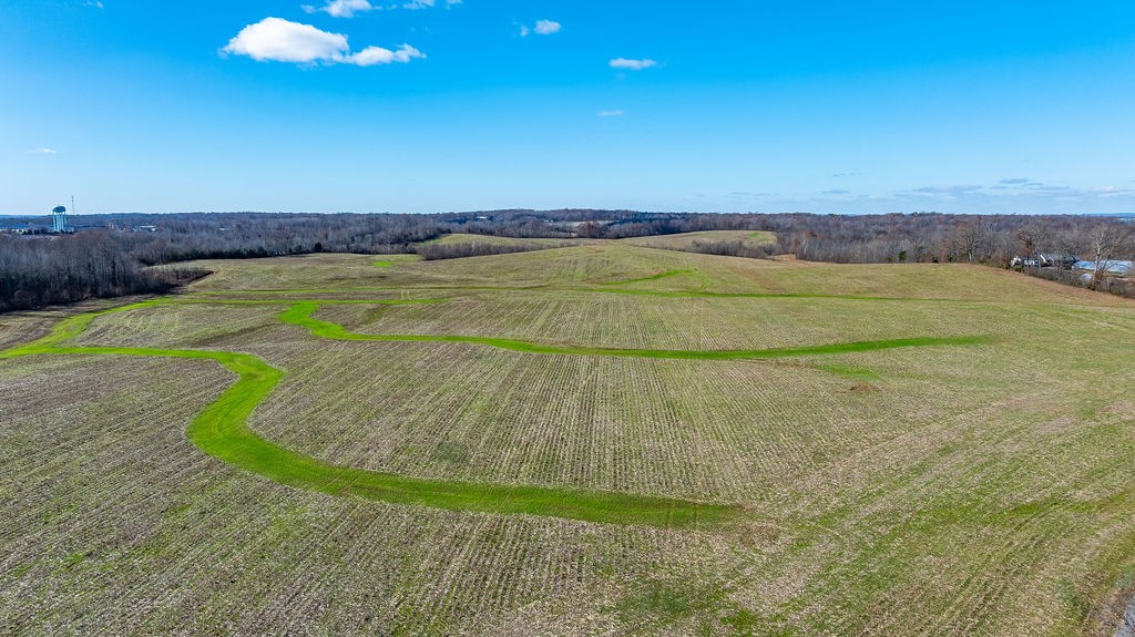 651 Pleasant Valley Road Princeton, KY 42445 - Photo 6 of 8 a view of a swimming pool with a yard