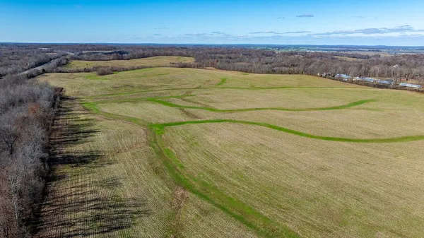 a view of swimming pool with a yard