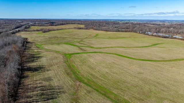 a view of swimming pool with a yard
