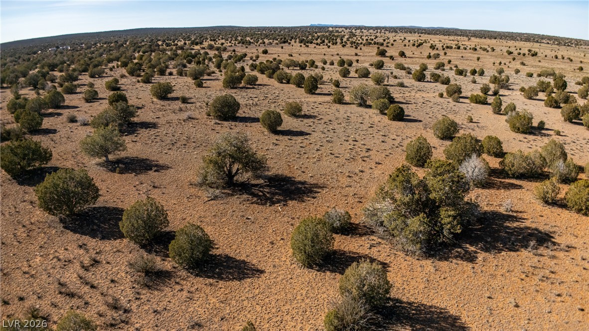0 X-One Ranch Road Seligman, AZ 86337 - Photo 7 of 9 A vast, open plain with natural desert landscaping awaits your vision.