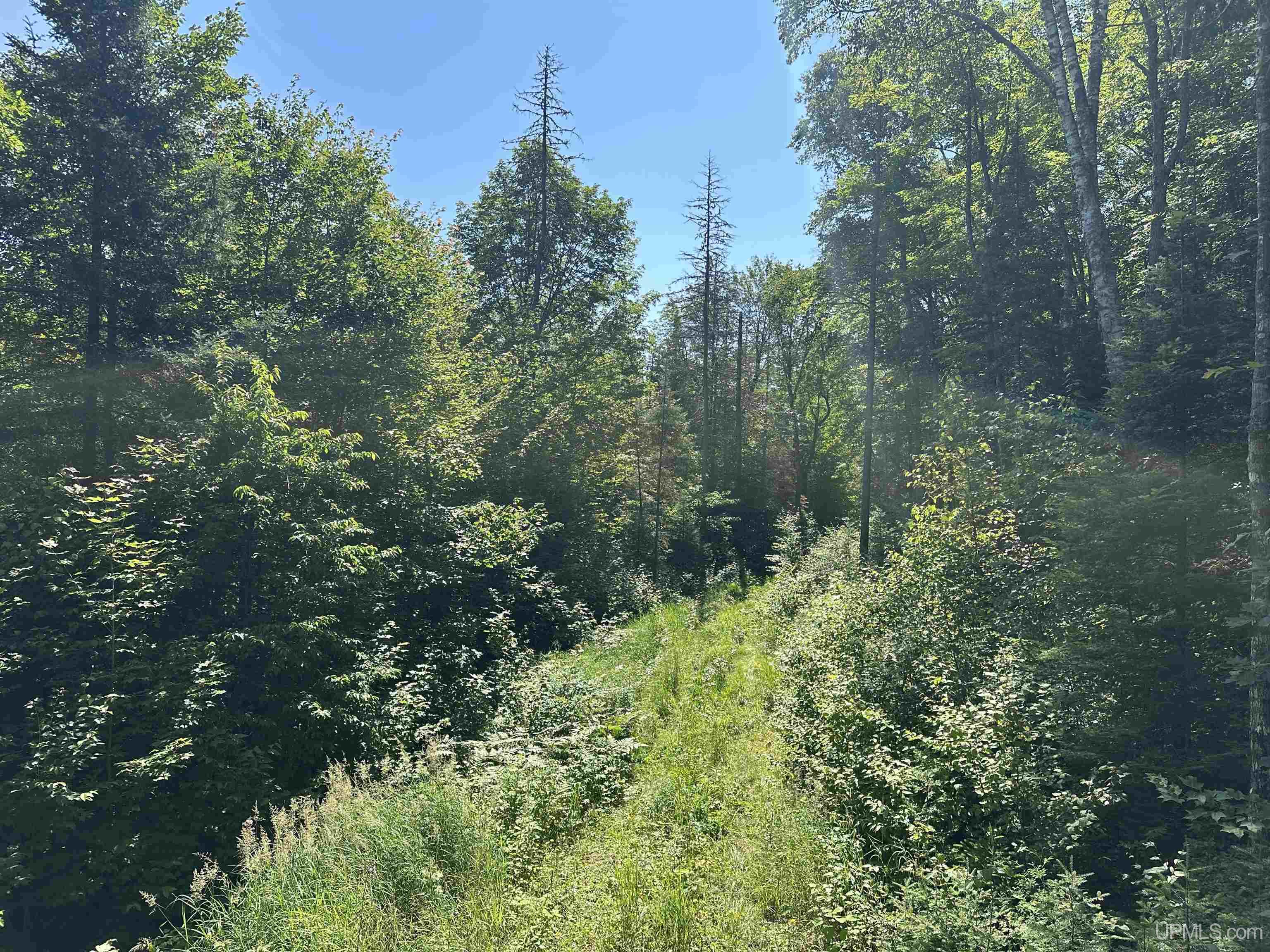 Off Indian Lake Road Michigamme, MI 49861 - Photo 9 of 9