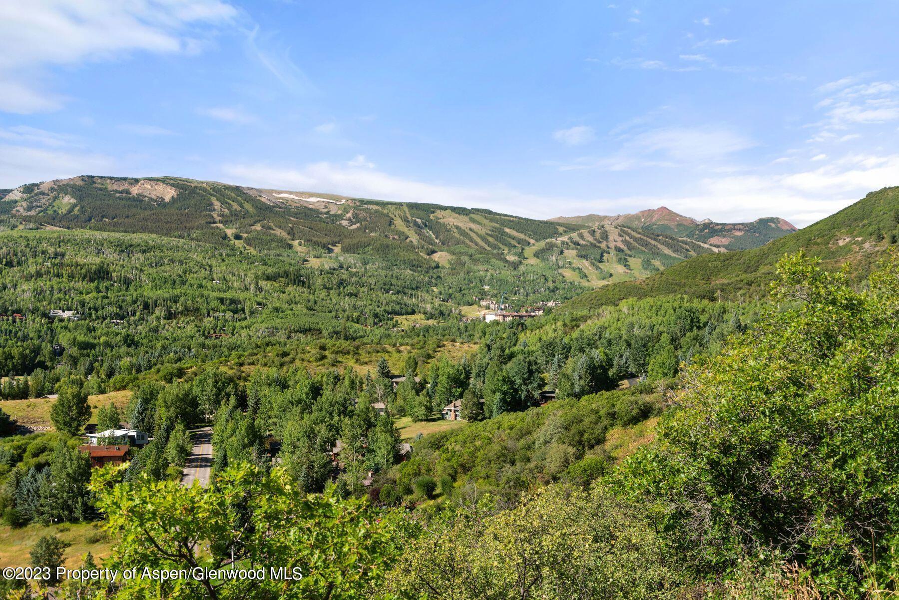 61 Oak Ridge Road Snowmass Village, CO 81615 - Photo 14 of 48 a view of a lush green forest with a houses