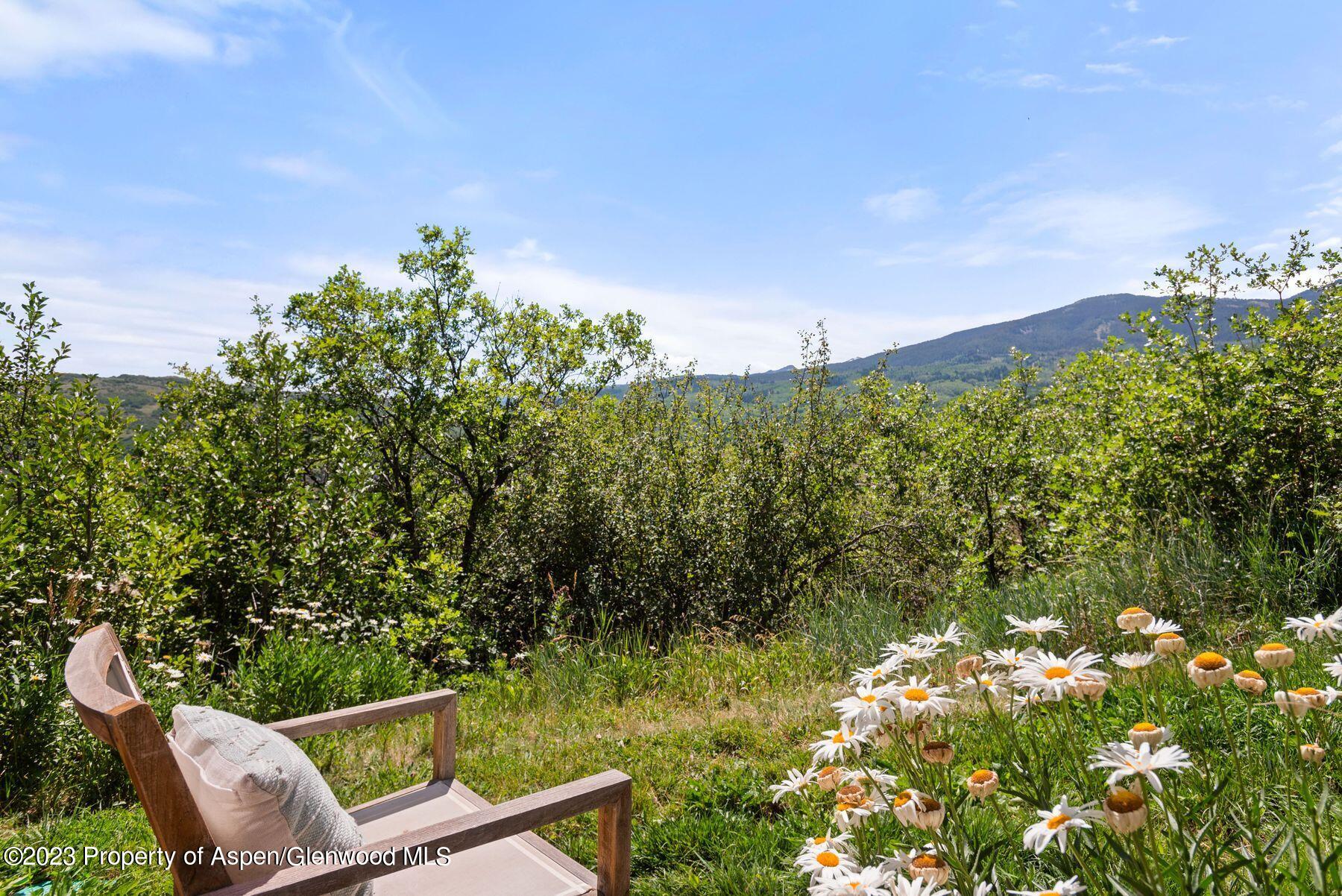 61 Oak Ridge Road Snowmass Village, CO 81615 - Photo 35 of 48 a view of a yard with an outdoor seating