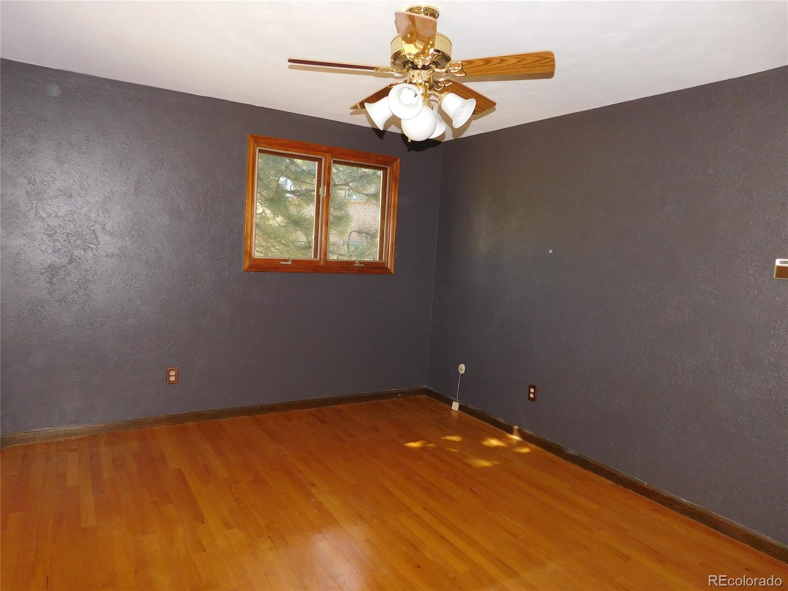 3445 Miller Street Wheat Ridge, CO 80033 - Photo 12 of 28 Gallery Image 12