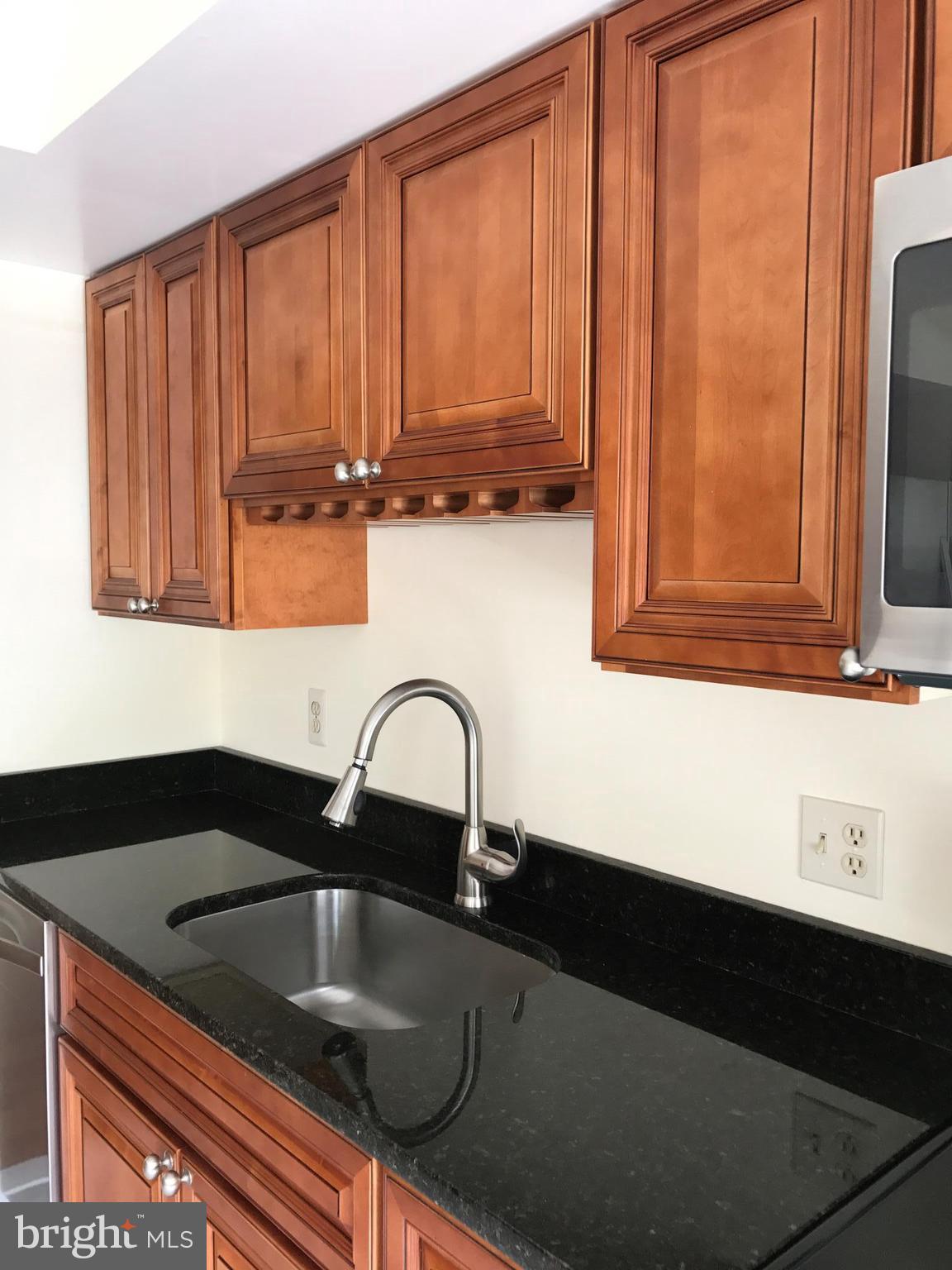 10504 Grove Ridge Place, Unit 48 Rockville, MD 20852 - Photo 7 of 30 a close view of sink and tap