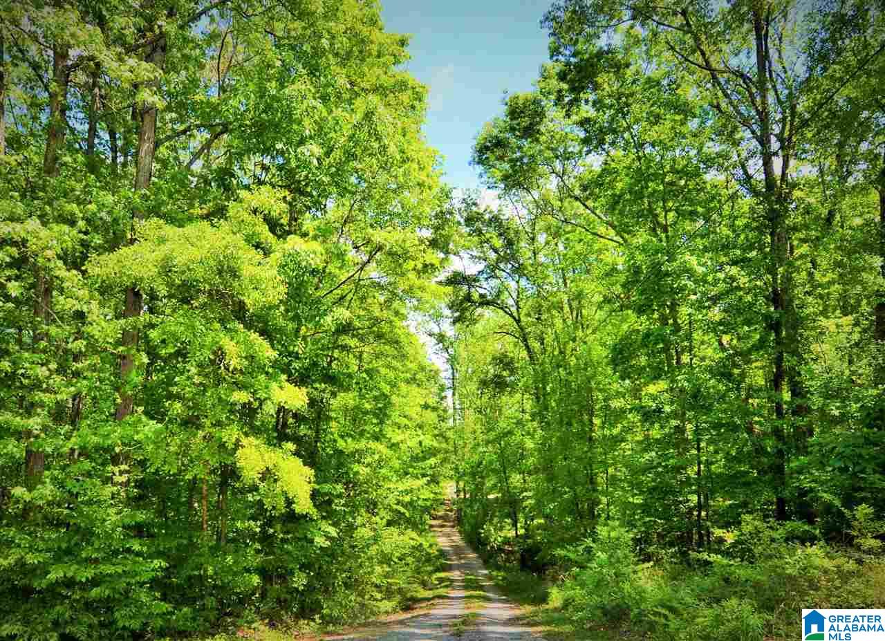 935 Jones Road Ohatchee, AL 36271 - Photo 47 of 47