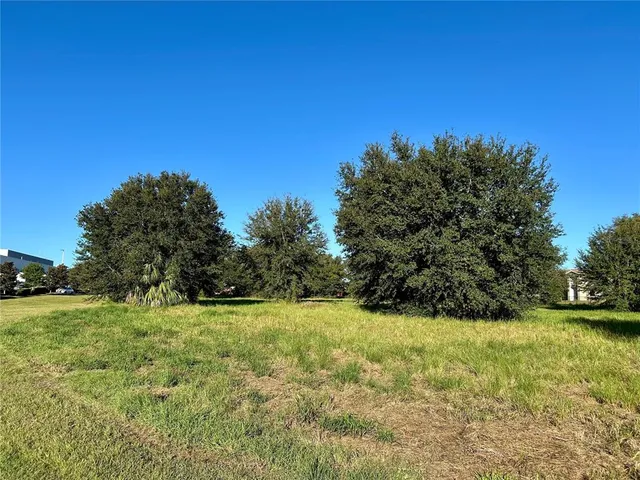 $1,000,000 | South 1st Avenue, Wauchula, FL 33873