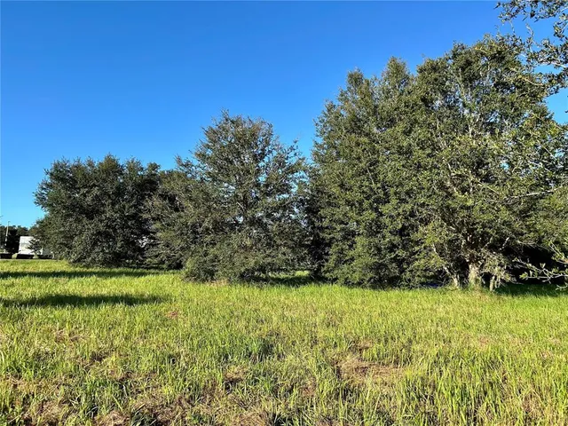 $1,000,000 | South 1st Avenue, Wauchula, FL 33873