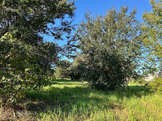 $1,000,000 | South 1st Avenue, Wauchula, FL 33873