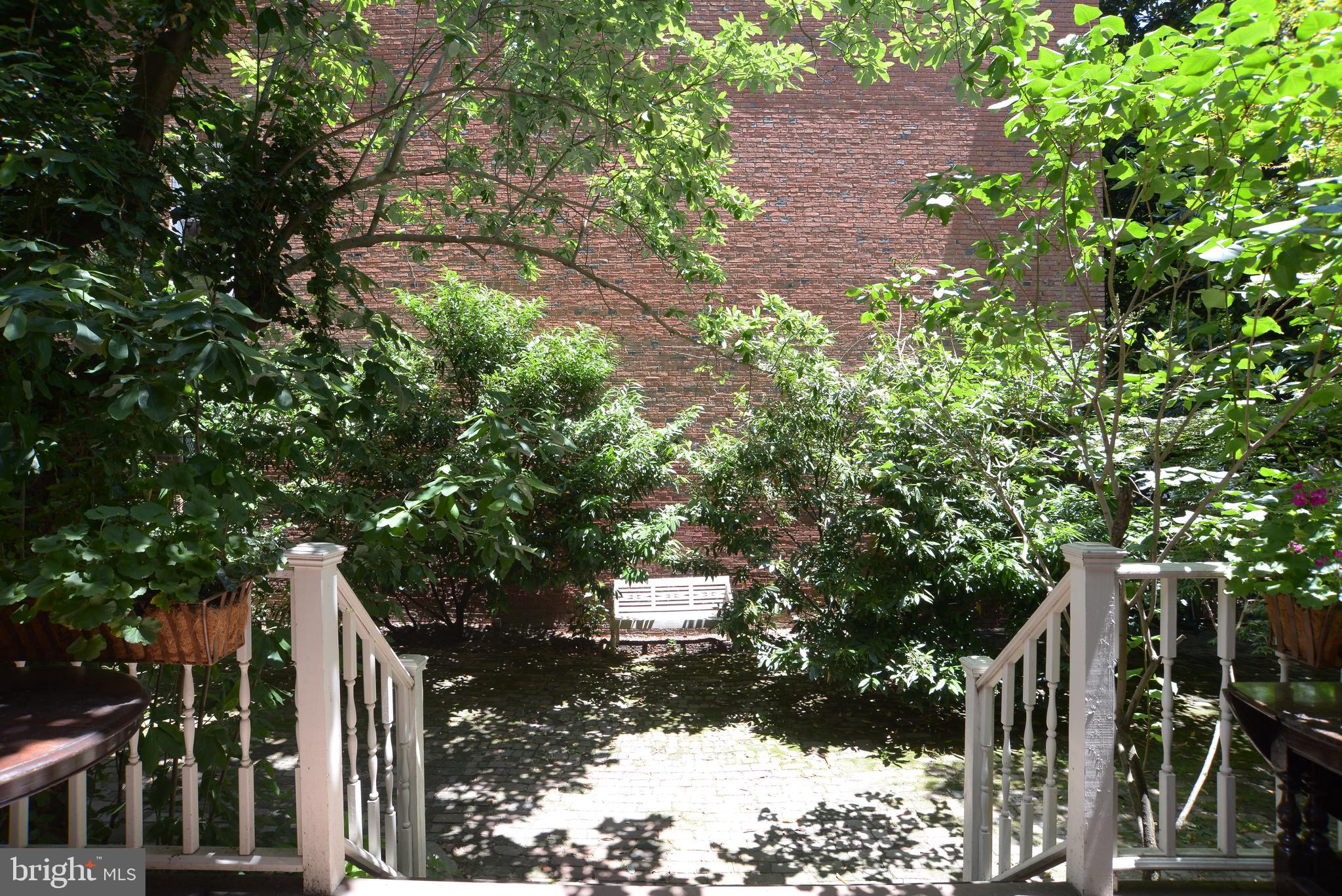 4 East Madison Street Baltimore, MD 21201 - Photo 17 of 52 French Doors to Private Courtyard w/ Mature Plants
