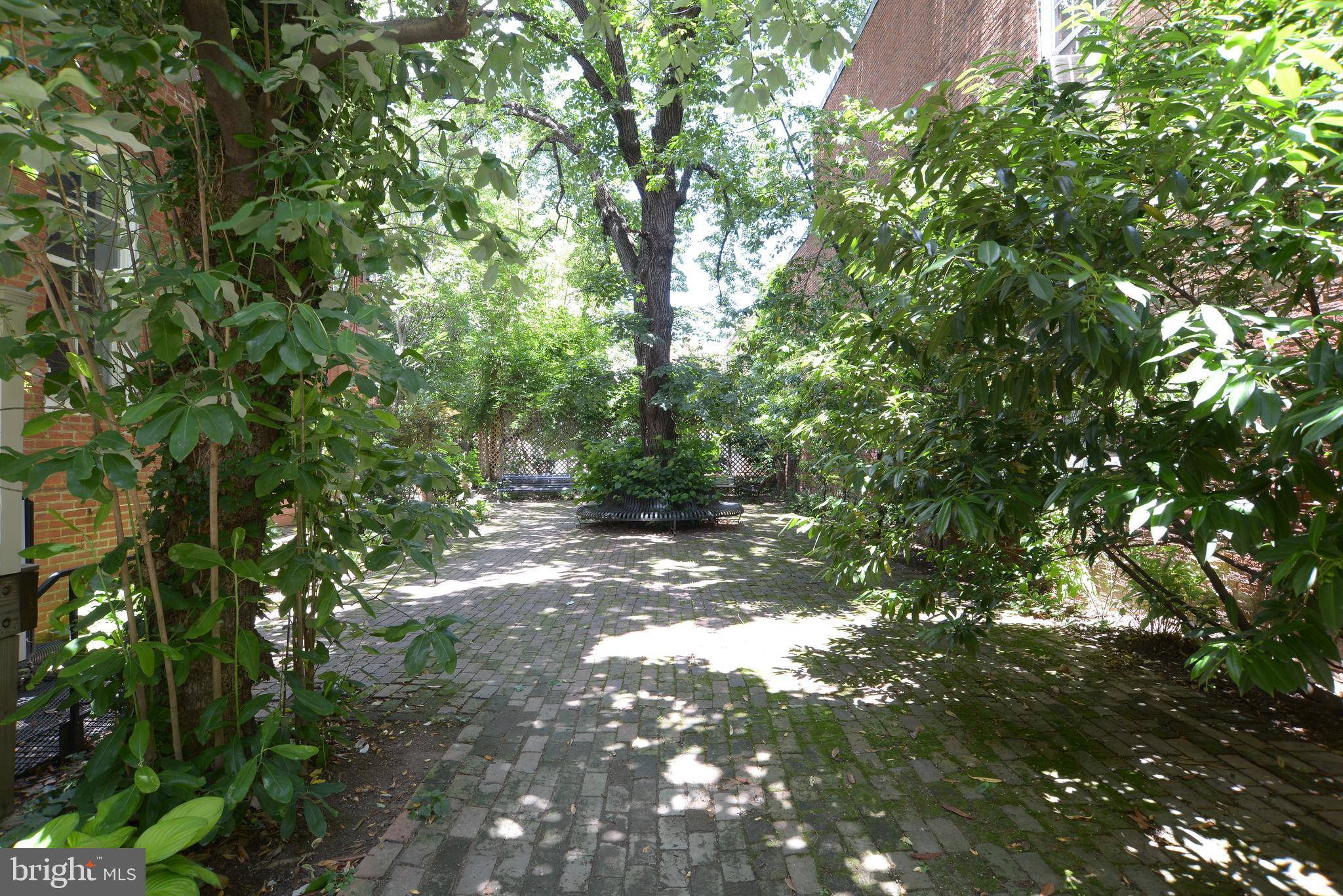 4 East Madison Street Baltimore, MD 21201 - Photo 46 of 52 Large Private Garden in Downtown Baltimore!