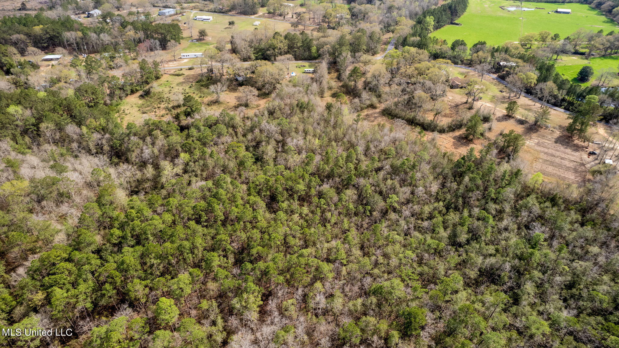 6 Jess Williams Road Poplarville, MS 39470 - Photo 16 of 27 Jess_Williams_Road-4