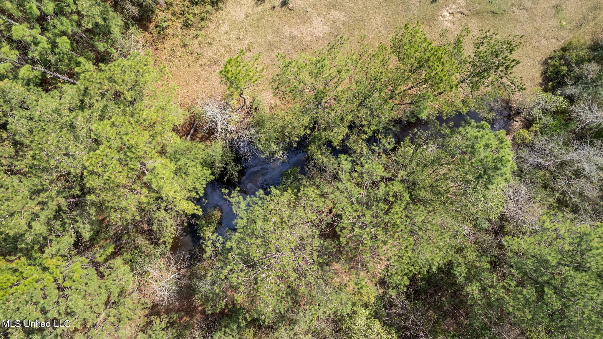 6 Jess Williams Road Poplarville, MS 39470 - Photo 18 of 27 6_Jess_Williams_Road-14