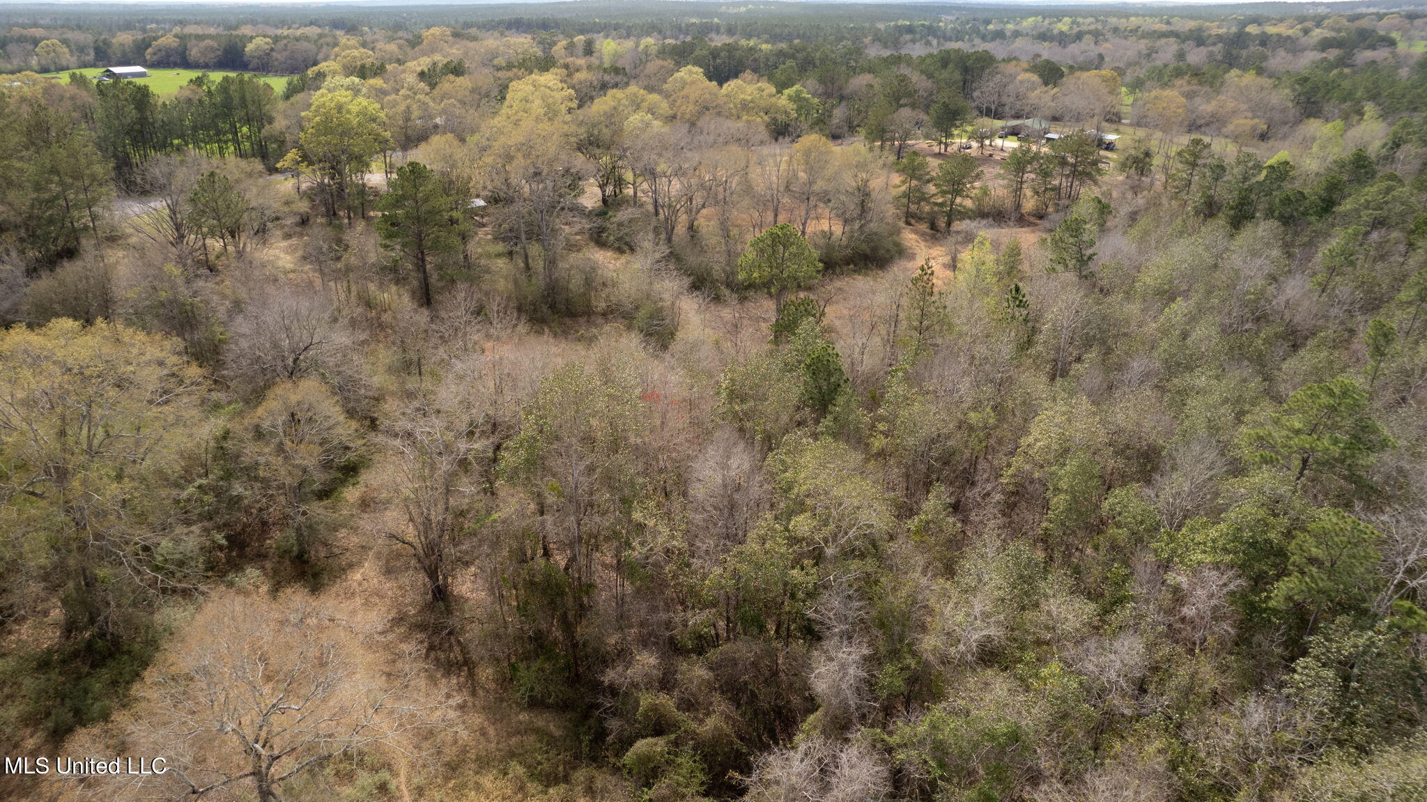 6 Jess Williams Road Poplarville, MS 39470 - Photo 21 of 27 Jess_Williams_Road-8