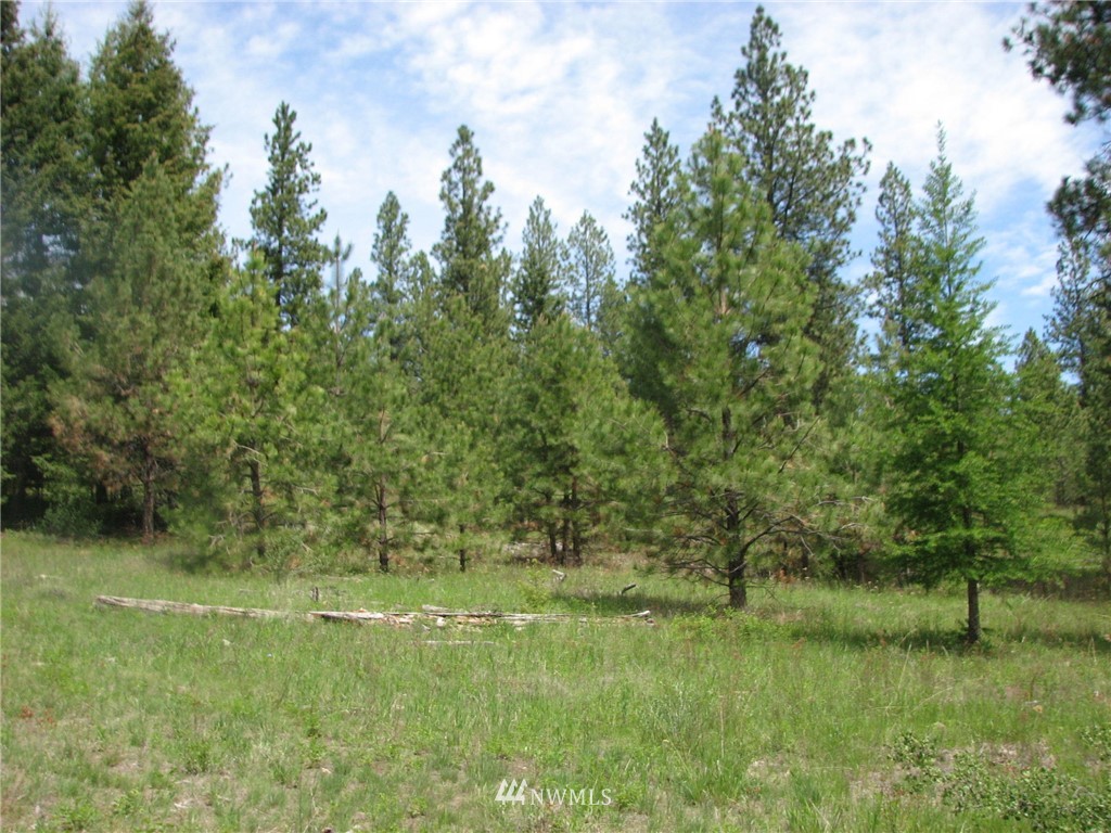 0 Whispering Pines Road Tonasket, WA 98855 - Photo 1 of 24 Gallery Image 1