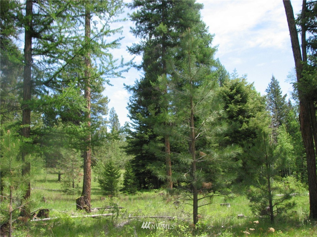 0 Whispering Pines Road Tonasket, WA 98855 - Photo 11 of 24 Gallery Image 11
