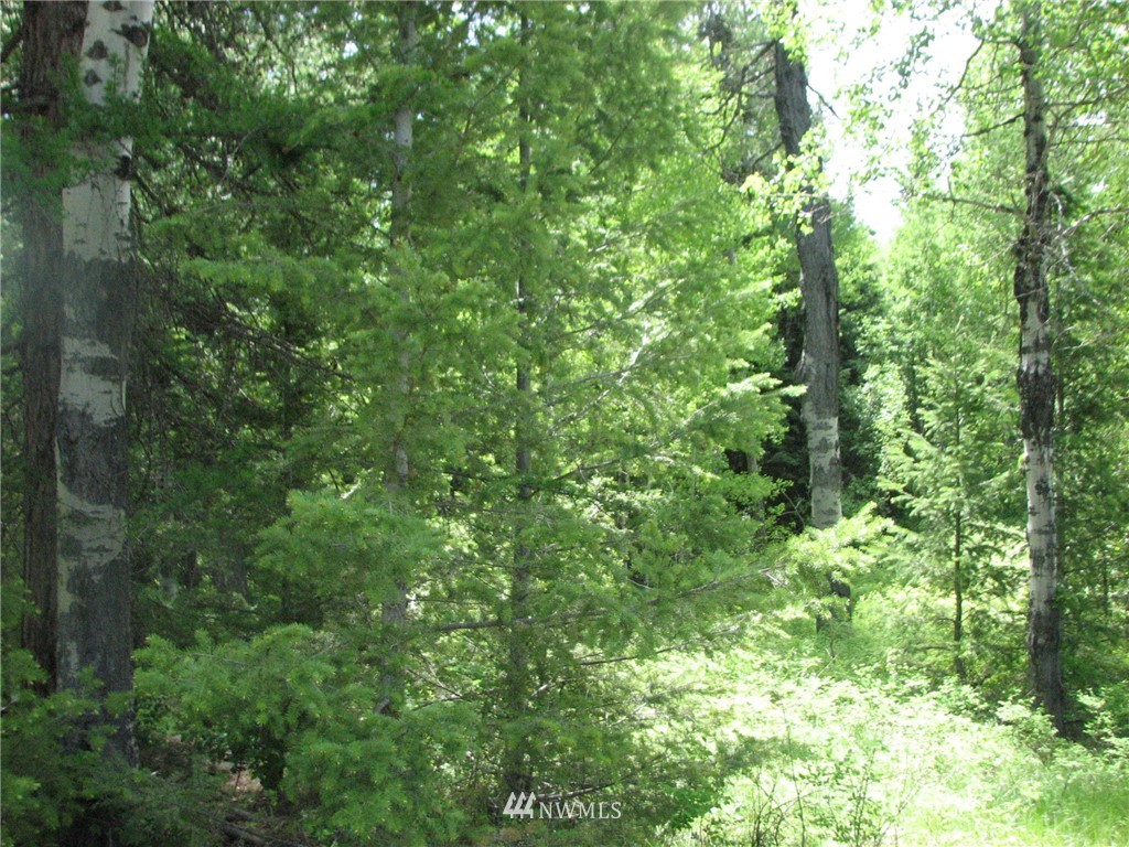 0 Whispering Pines Road Tonasket, WA 98855 - Photo 12 of 24 Gallery Image 12