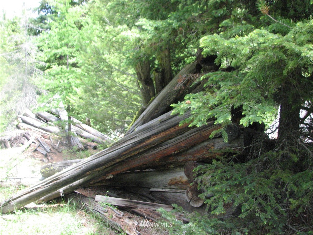 0 Whispering Pines Road Tonasket, WA 98855 - Photo 13 of 24 Gallery Image 13