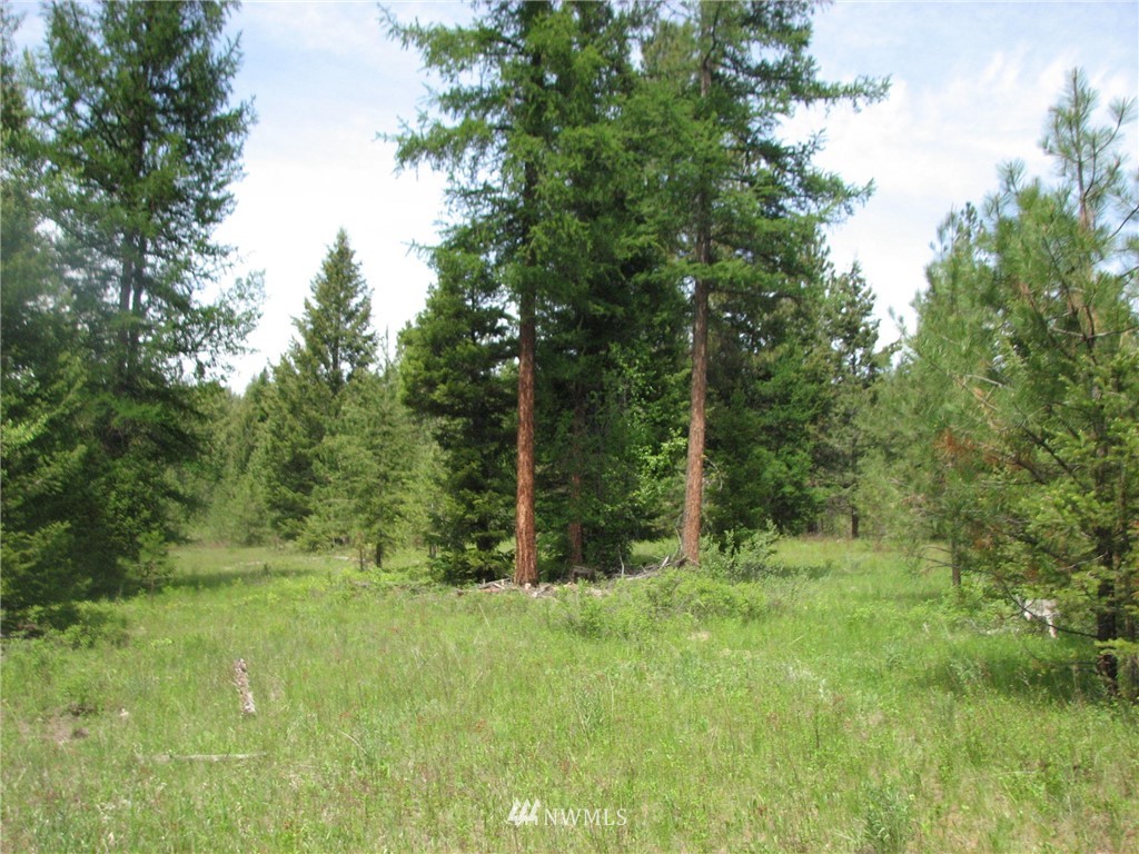 0 Whispering Pines Road Tonasket, WA 98855 - Photo 14 of 24 Gallery Image 14