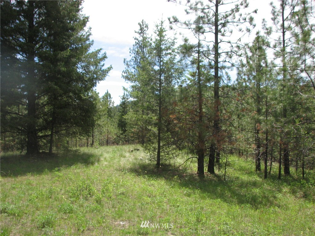 0 Whispering Pines Road Tonasket, WA 98855 - Photo 18 of 24 Gallery Image 18