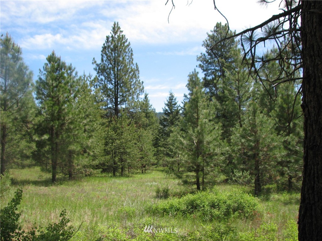 0 Whispering Pines Road Tonasket, WA 98855 - Photo 19 of 24 Gallery Image 19
