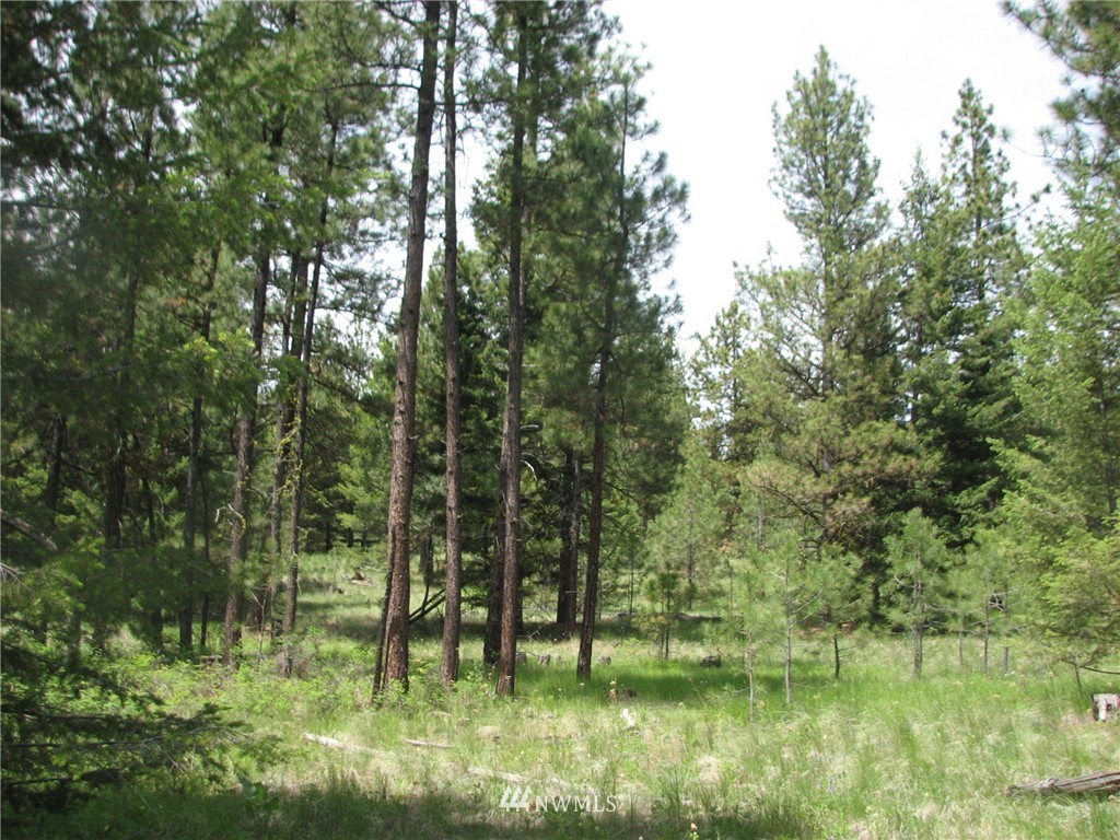 0 Whispering Pines Road Tonasket, WA 98855 - Photo 21 of 24 Gallery Image 21