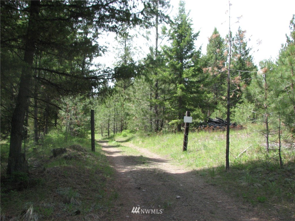 0 Whispering Pines Road Tonasket, WA 98855 - Photo 22 of 24 Gallery Image 22