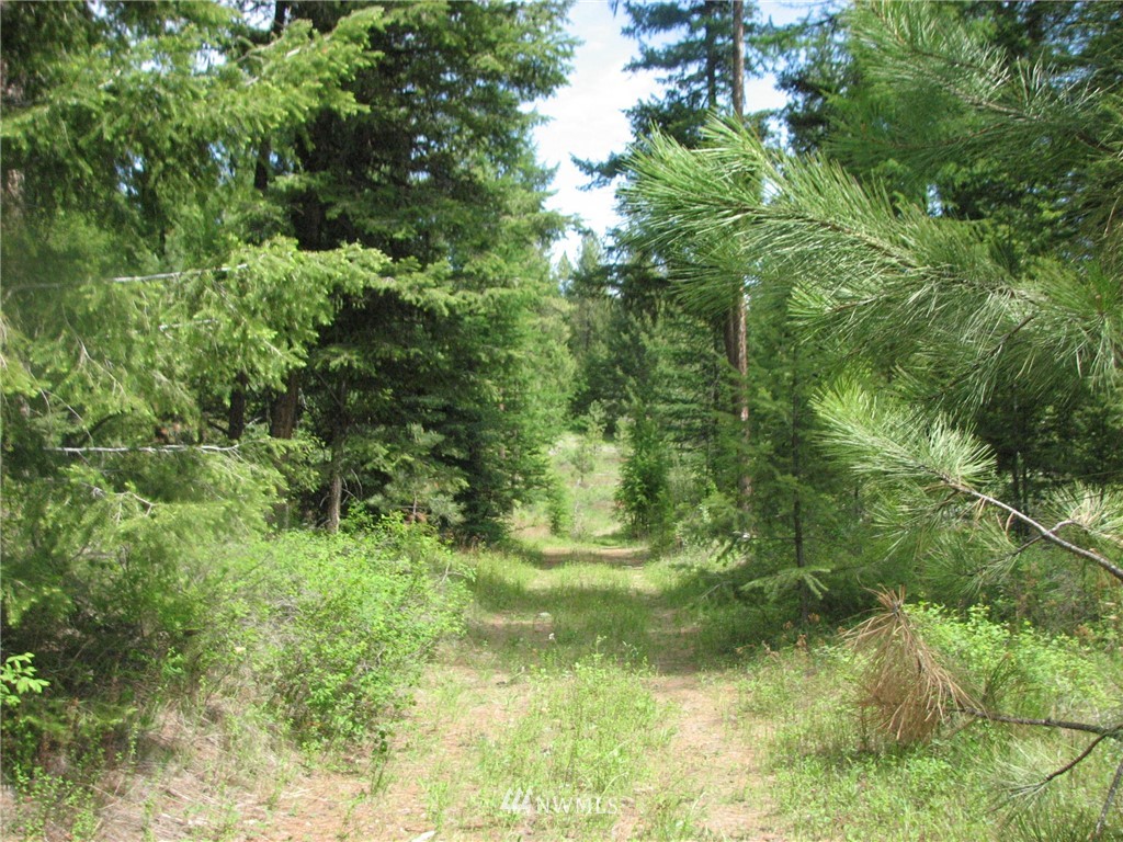0 Whispering Pines Road Tonasket, WA 98855 - Photo 7 of 24 Gallery Image 7