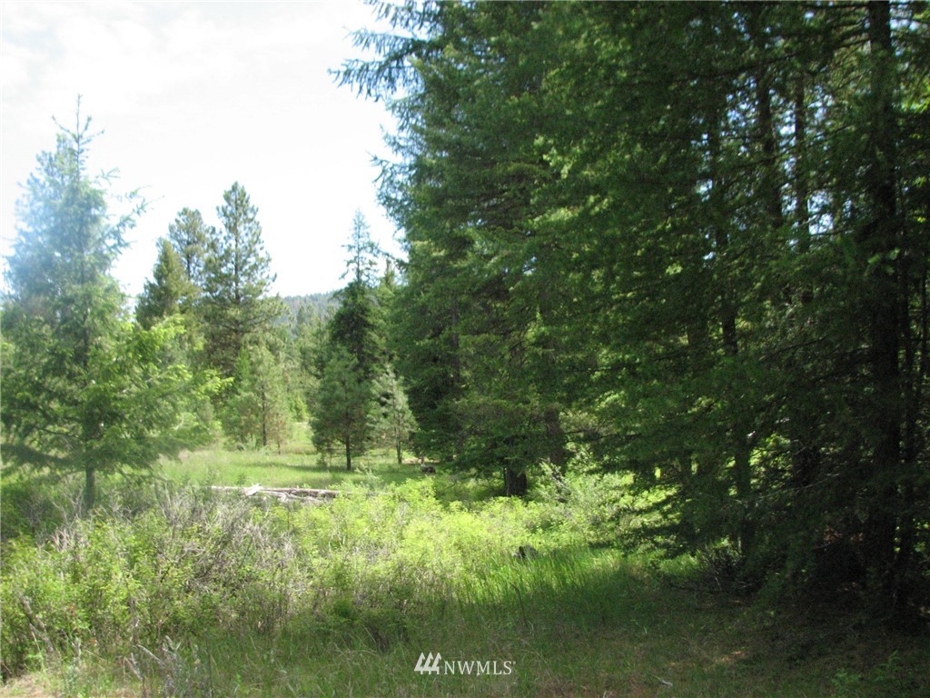 0 Whispering Pines Road Tonasket, WA 98855 - Photo 8 of 24 Gallery Image 8