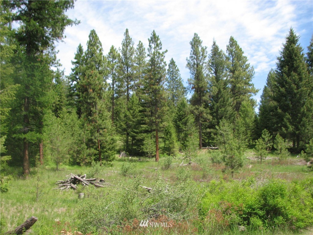 0 Whispering Pines Road Tonasket, WA 98855 - Photo 9 of 24 Gallery Image 9