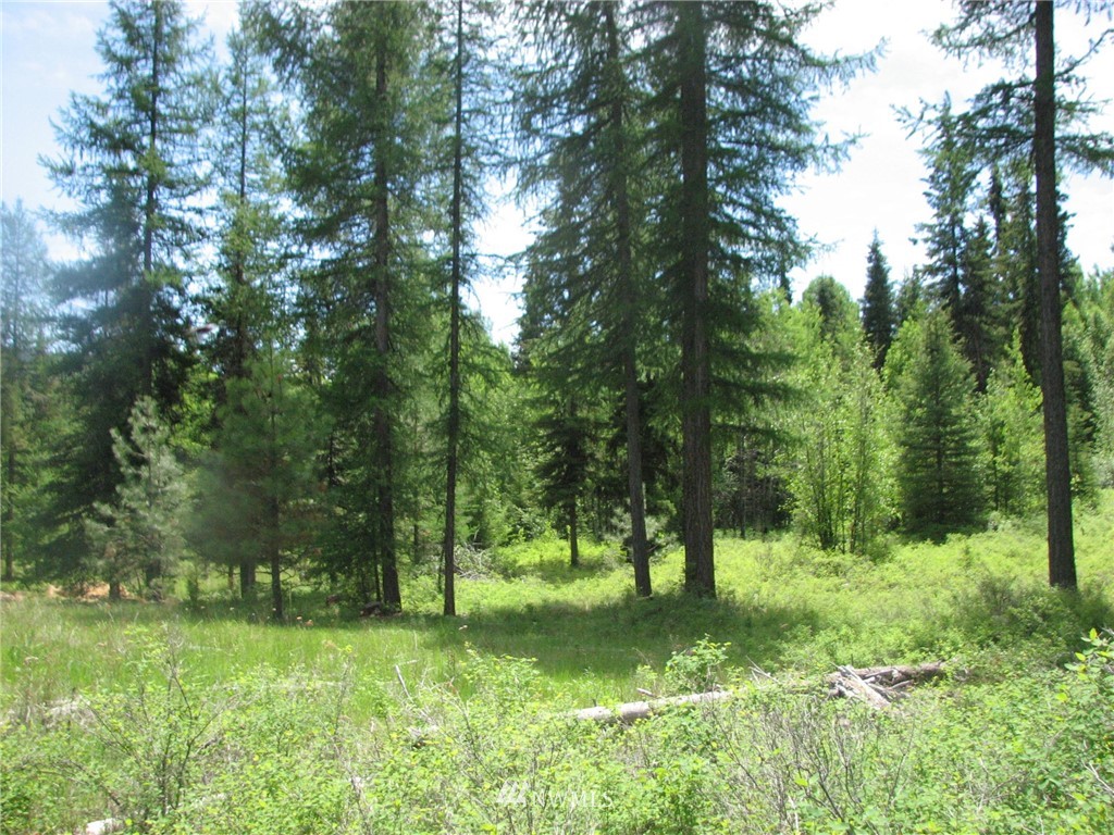 0 Whispering Pines Road Tonasket, WA 98855 - Photo 10 of 24 Gallery Image 10