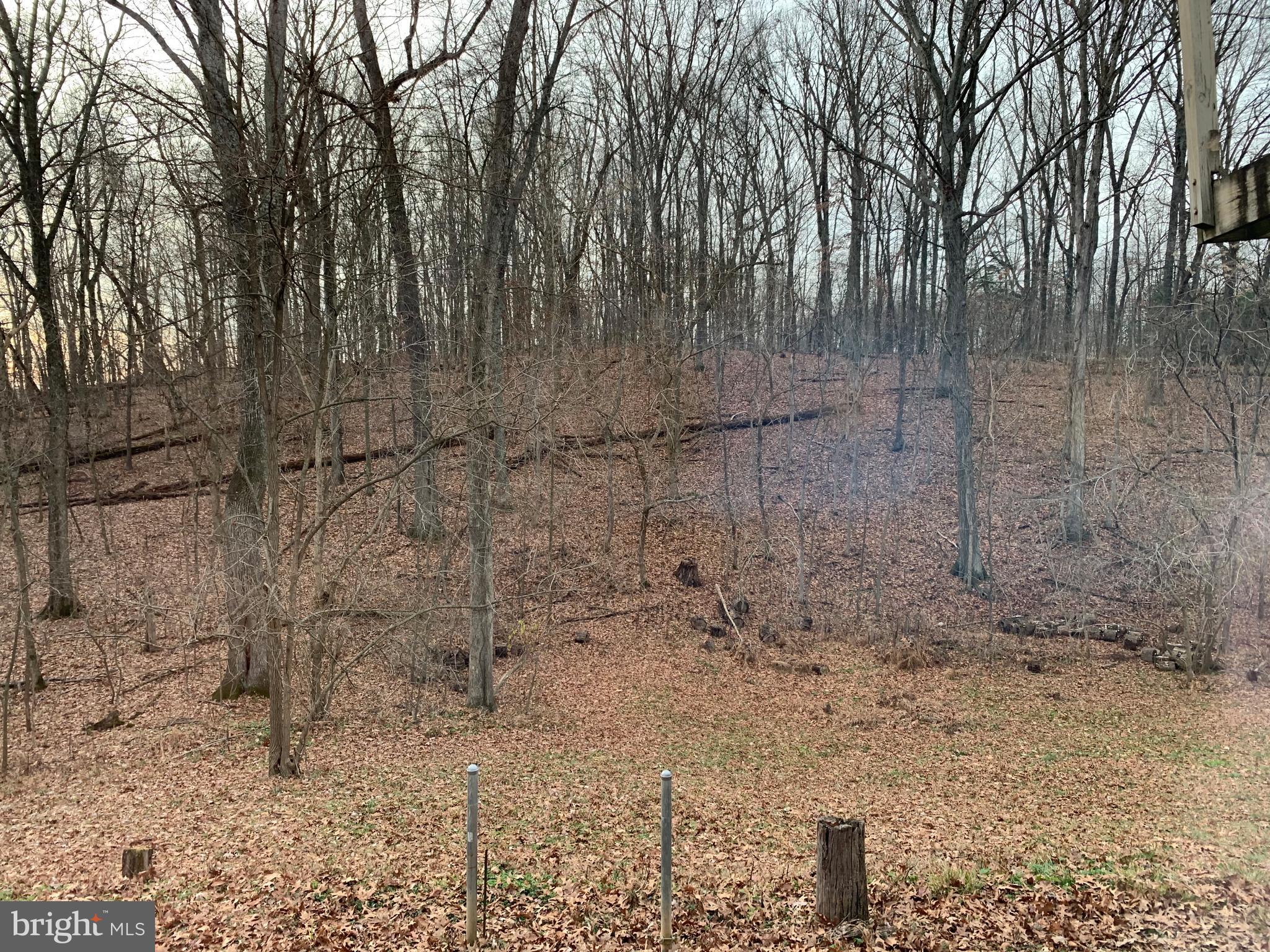 233 Short Kearneysville, WV 25430 - Photo 30 of 33 View from Basement Patio Doors (Backyard) privacy