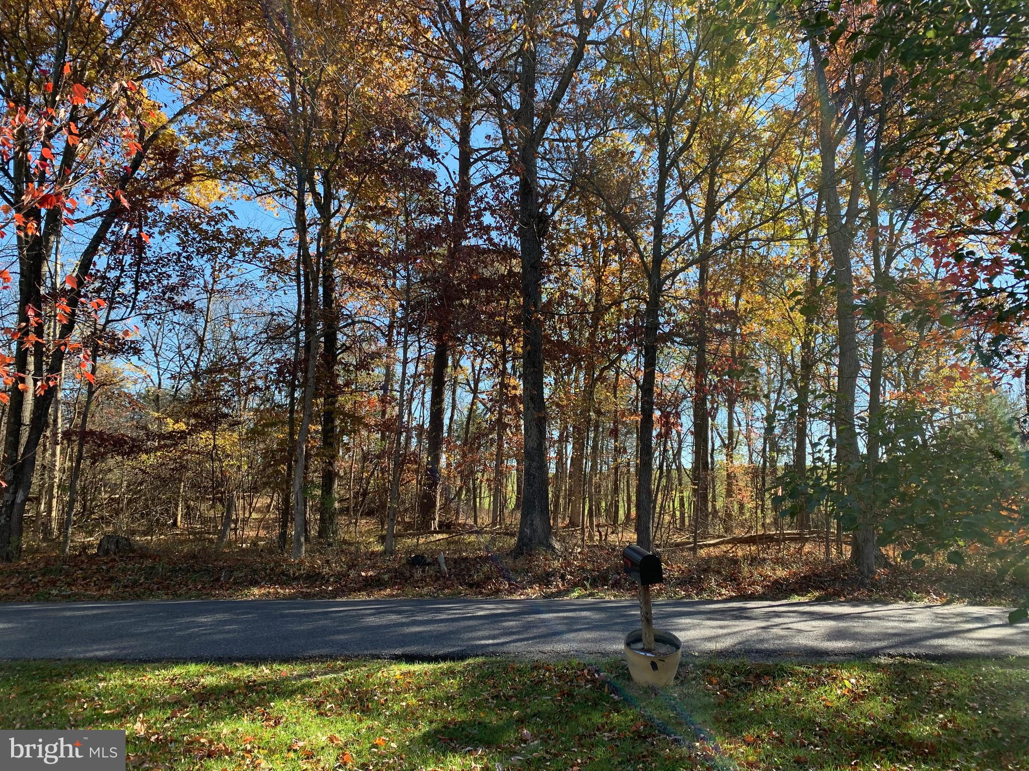 233 Short Kearneysville, WV 25430 - Photo 5 of 33 View from front porch