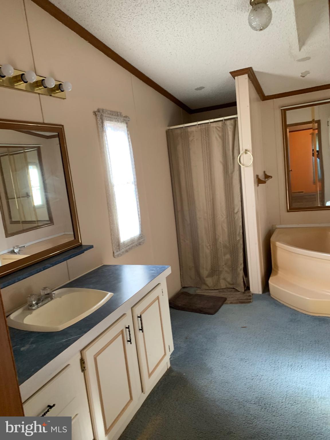 233 Short Kearneysville, WV 25430 - Photo 10 of 33 Master Bathroom w/vanity stand up shower & soaking