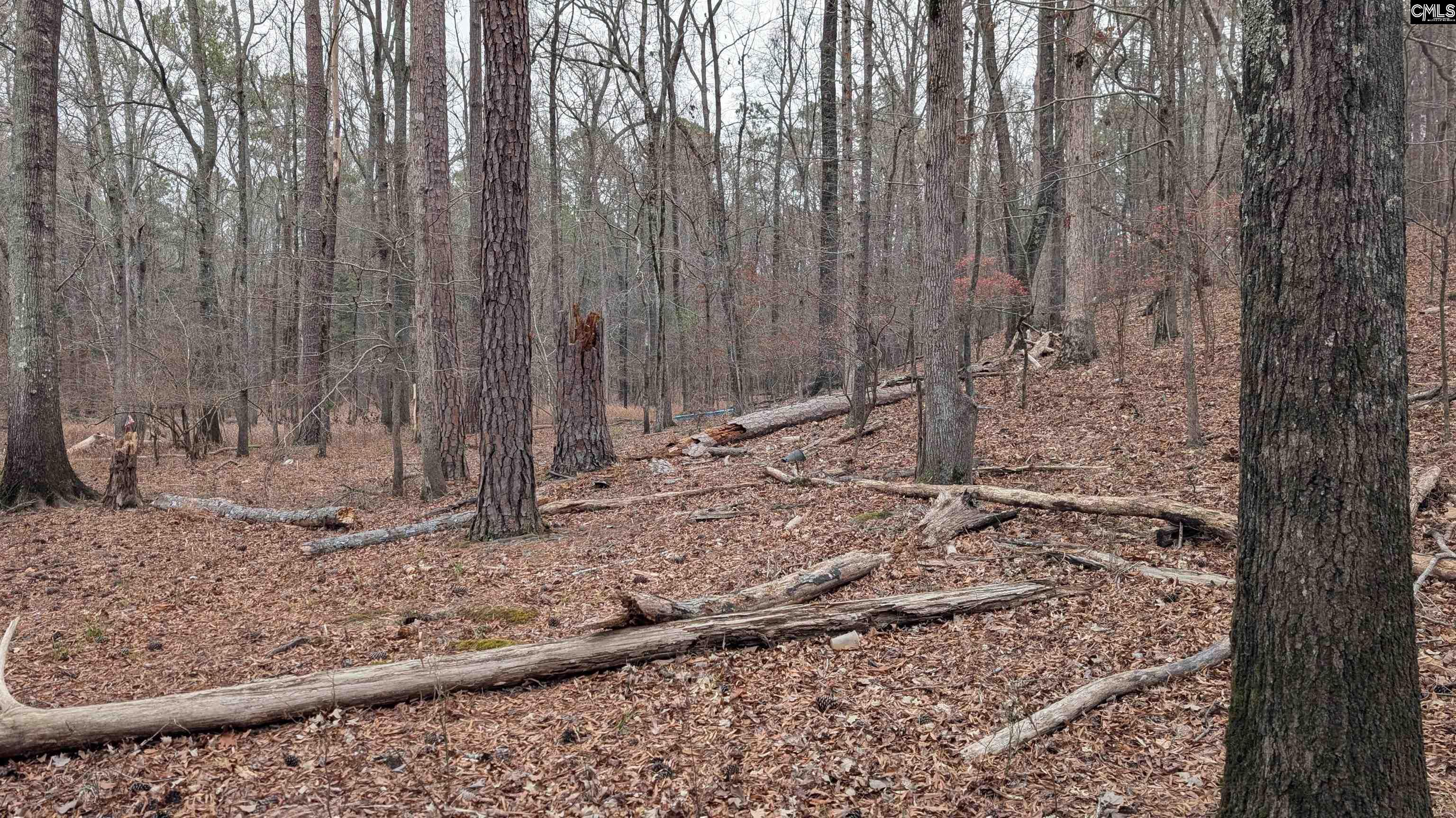 Lots B & C Lots B & C Miller Road Camden, SC 29020 - Photo 26 of 36