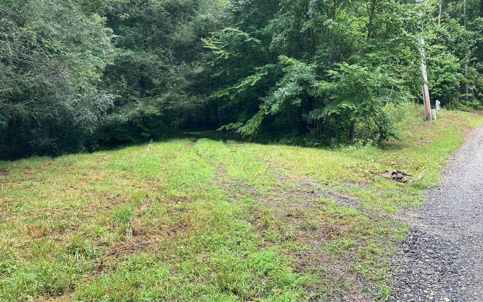 1149 Crystal Spgs Road Murphy, NC 28906 - Photo 2 of 4 a view of backyard with green space