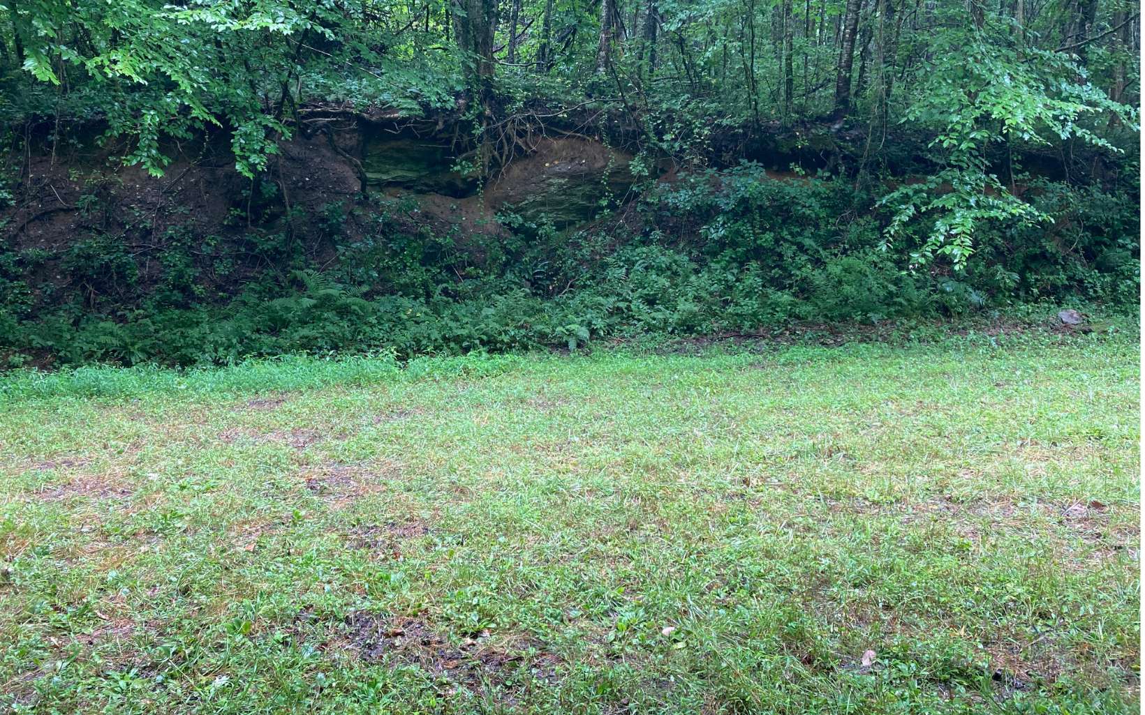 1149 Crystal Spgs Road Murphy, NC 28906 - Photo 4 of 4 a view of a green field with lots of bushes