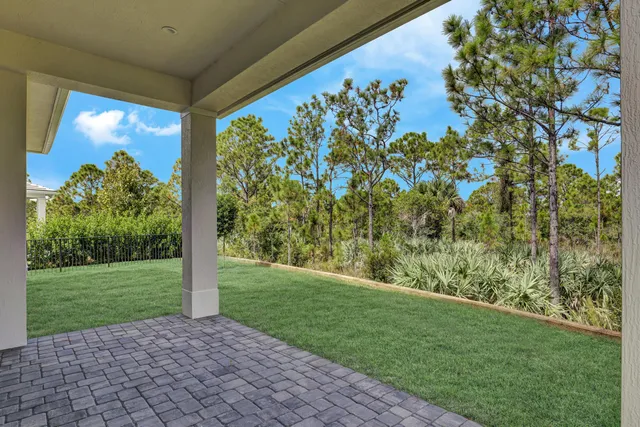 a view of a garden with a tree