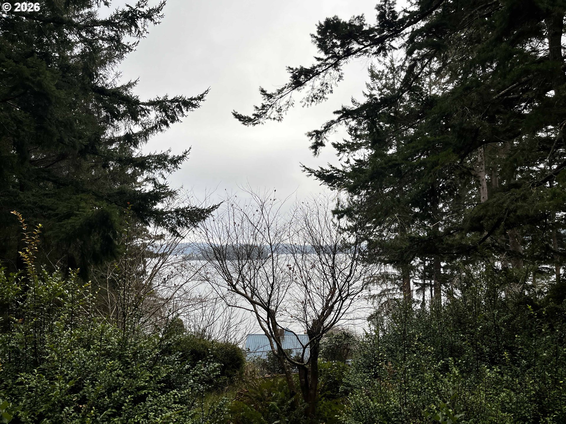 83189 Clear Lake Road Florence, OR 97439 - Photo 24 of 32