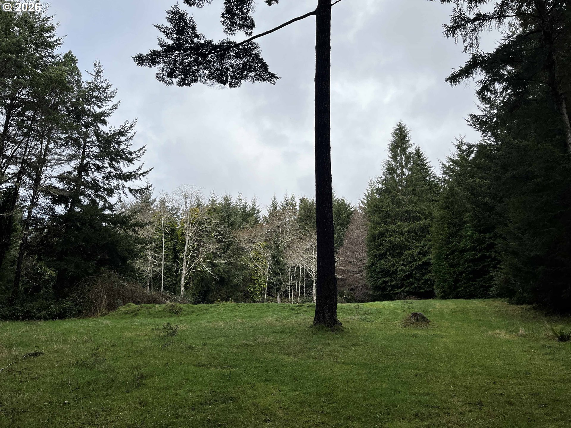 83189 Clear Lake Road Florence, OR 97439 - Photo 26 of 32