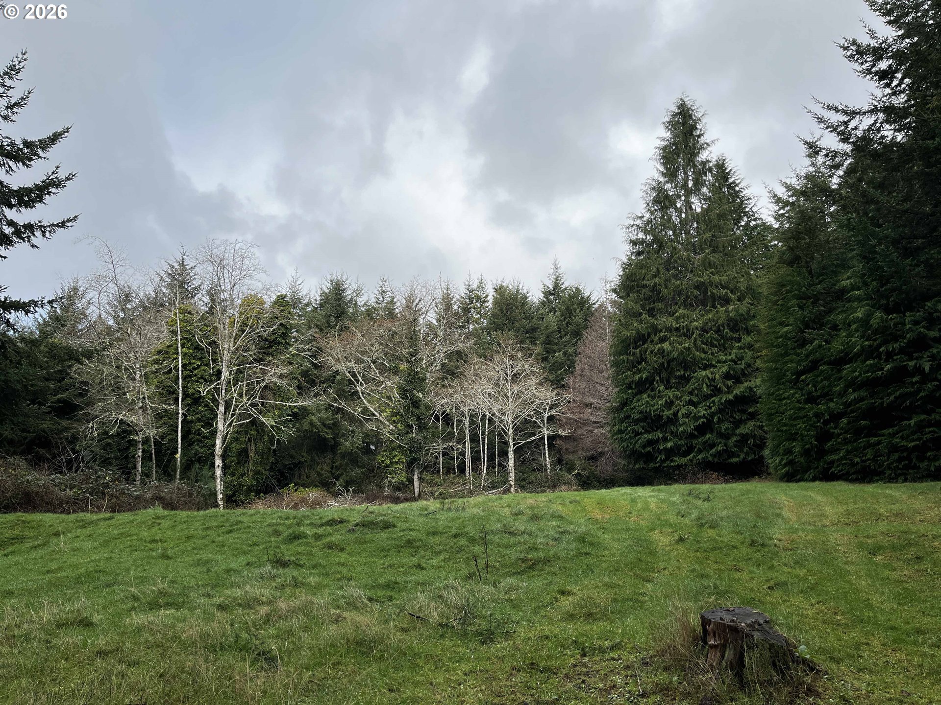 83189 Clear Lake Road Florence, OR 97439 - Photo 27 of 32