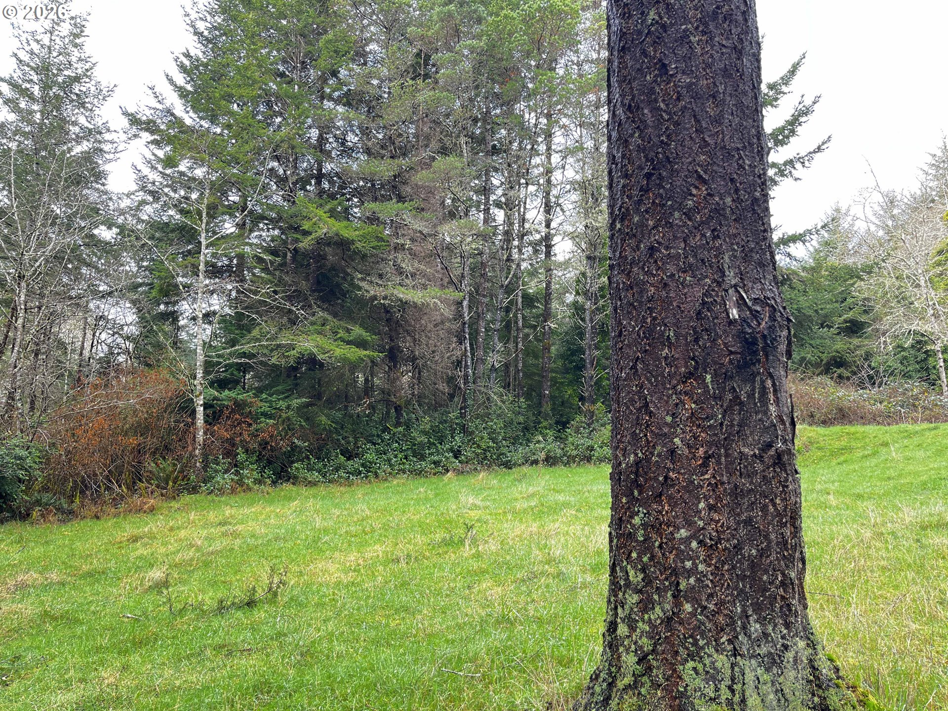 83189 Clear Lake Road Florence, OR 97439 - Photo 28 of 32