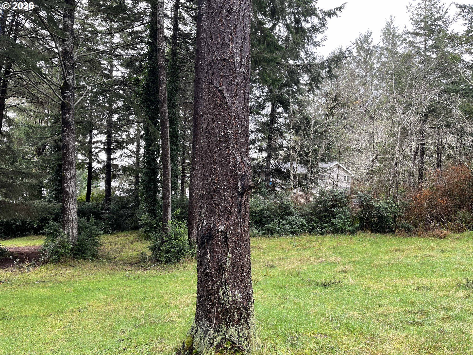 83189 Clear Lake Road Florence, OR 97439 - Photo 30 of 32