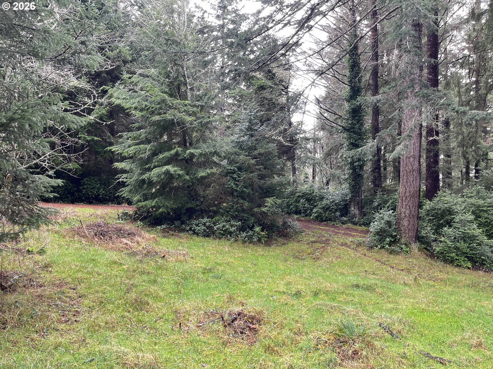 83189 Clear Lake Road Florence, OR 97439 - Photo 31 of 32