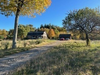 37 Smith Road Warwick, MA 01378 - Photo 3 of 21 a street view with large trees