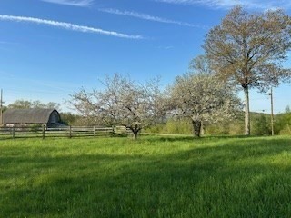 37 Smith Road Warwick, MA 01378 - Photo 5 of 21 a grassy field with trees in the background