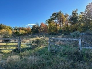 37 Smith Road Warwick, MA 01378 - Photo 10 of 21 a view of outdoor space and yard