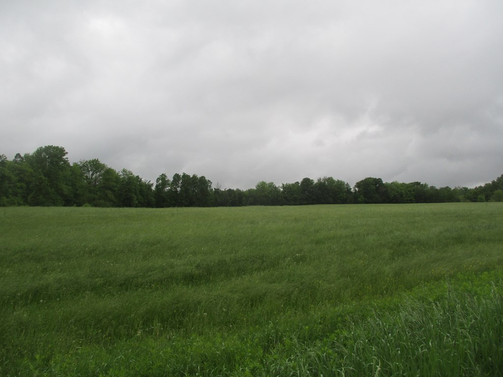 0 Sr 11 & Junction Road Malone, NY 12953 - Photo 5 of 5 Gallery Image 5