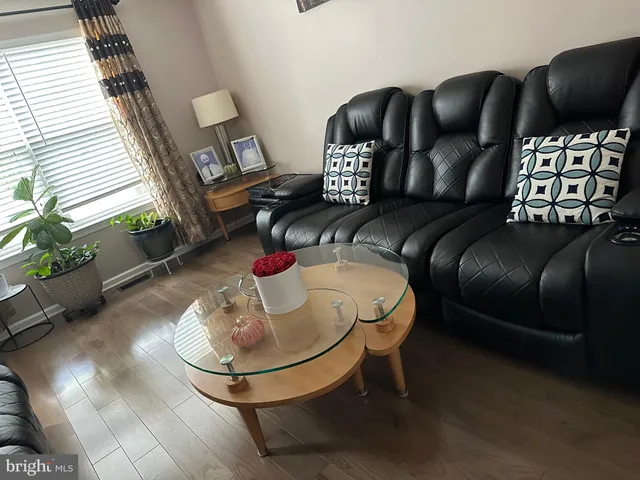 a living room with furniture flowerpot and a potted plant